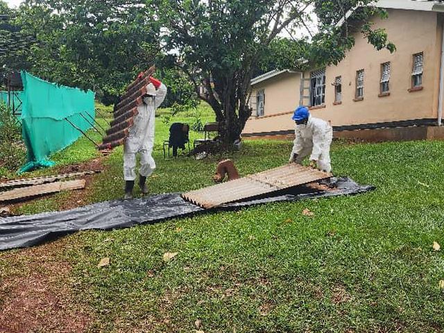 Removal of roofing sheets for disposal